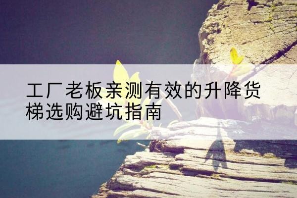 黑河升降货梯怎么选-工厂老板亲测有效的升降货梯选购避坑指南