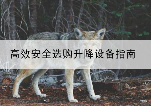 黑河升降货梯厂家推荐-*安全选购升降设备指南