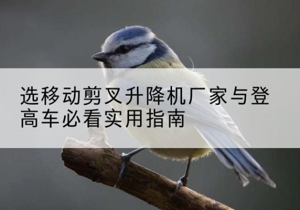 黑河电动升降机厂家-选移动剪叉升降机厂家与登高车必看实用指南