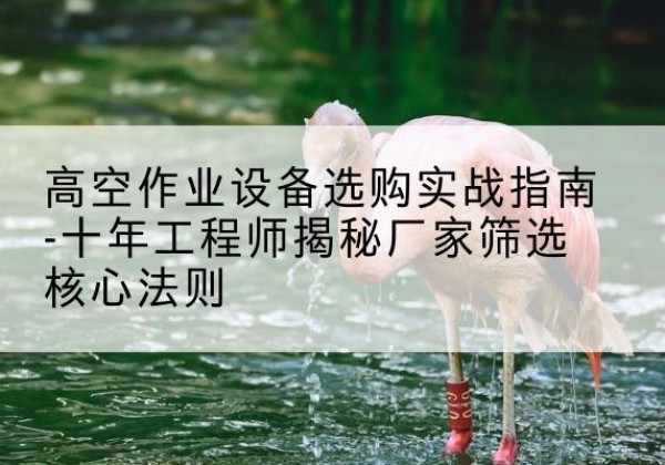 黑河剪叉式升降机厂家-高空作业设备选购实战指南-十年工程师揭秘厂家筛选核心法则